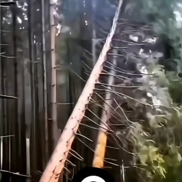 That's why you have to work smart, not just hard.