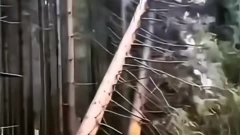 That's why you have to work smart, not just hard.