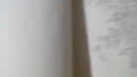 jardim secreto livro pra colorir.mp4