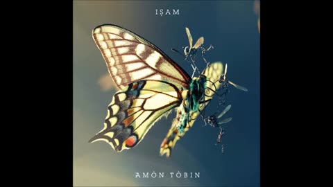 AMON TOBIN - ISAM