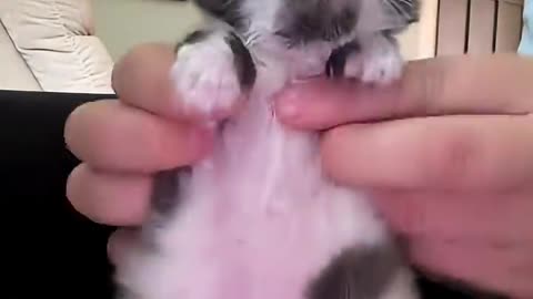 He's Scared of the Rain 😭