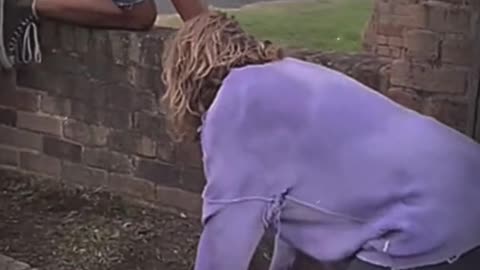 Pets That Will Make You Laugh/ Hilarious Pet/ Cutest Moments Ever 😂🐶 #Shorts