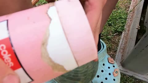 Snack Lady episode 2 (M) gross bugs and poisoning