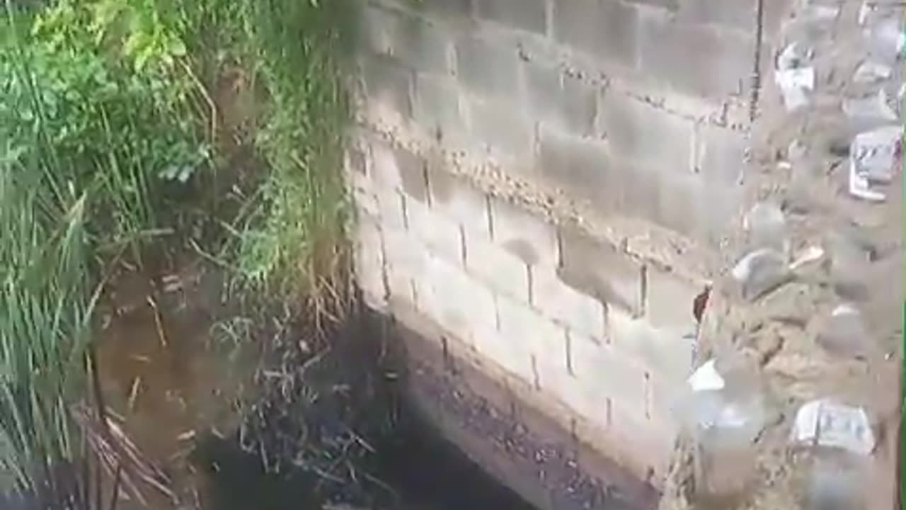 Preocupación en el barrio Policarpa por grave contaminación en el canal