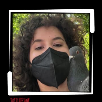 Layla Saliba, caught between southern charm and Hamas terror