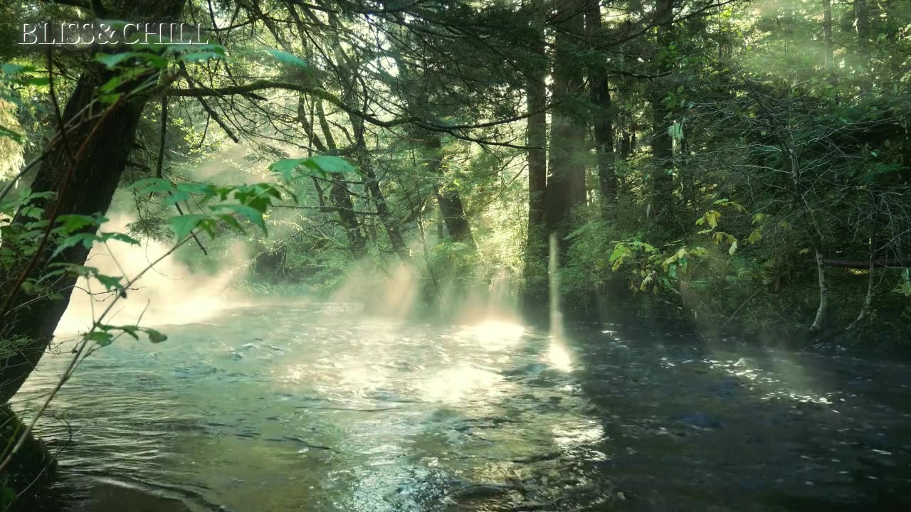 The moon || mp3-relaxing,chill&waasmusic