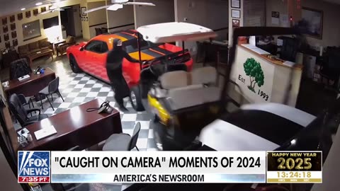 Watch the best 'caught on camera' moments of 2024