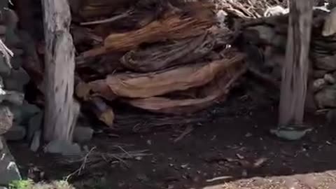 Nature is calling us