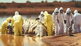 Top 10 Lakes That Revealed Something Terrifying When They Dried Up