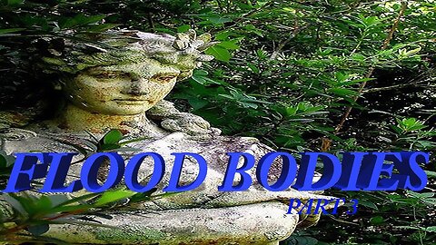 FLOOD BODIES