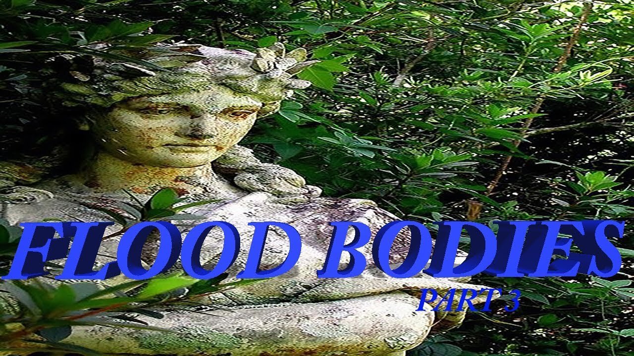 FLOOD BODIES