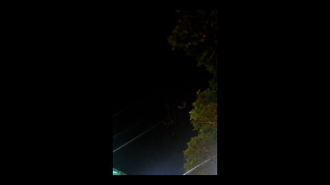 The Fireworks Lit Up The Night Sky 🎆