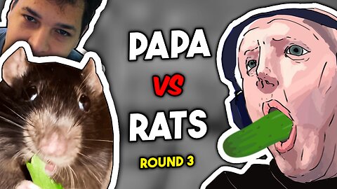 The Papaonwing VS Discord Rats Finale ft. Special Guest