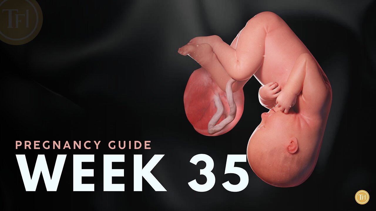 What to Expect at Week 35 | Week by Week Pregnancy Guide