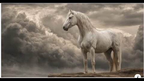 The WHITE HORSE As A Symbol For These 'END TIMES' (2026) - KJ's What Happened?