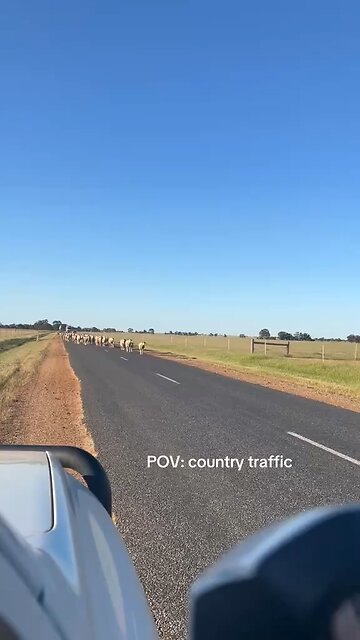 Australian chronicles