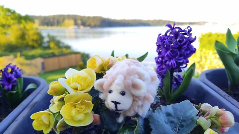 Mini Wool Felted Sheep – Handmade Tiny Sheep DIY Tutorial 🐑