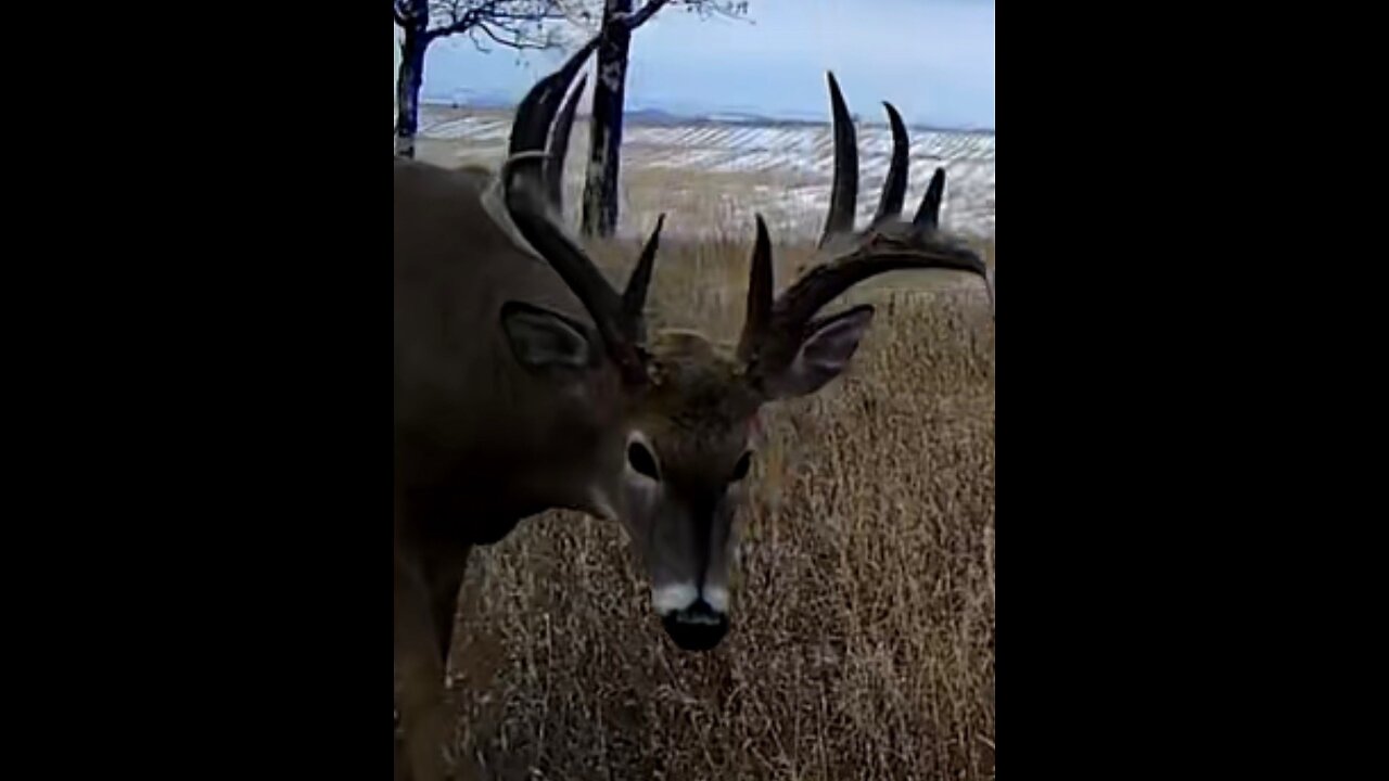 HUNTING SEASON IS OVER !!!