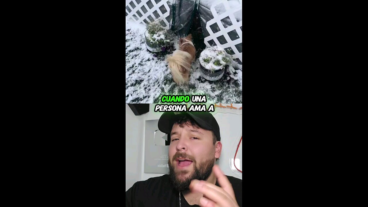 Cuando una persona ama a su mas cota se nota ðŸ¤