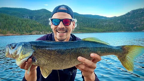 How To Catch Master Angler Walleye In Colorado’s Pristine Mountain Reservoirs