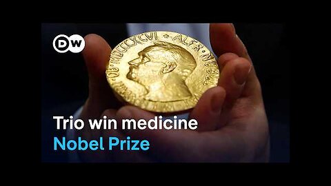 How could this recognition shape future research or innovation in immunology? | DW News
