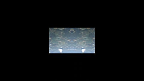 Go live the life that makes you happy