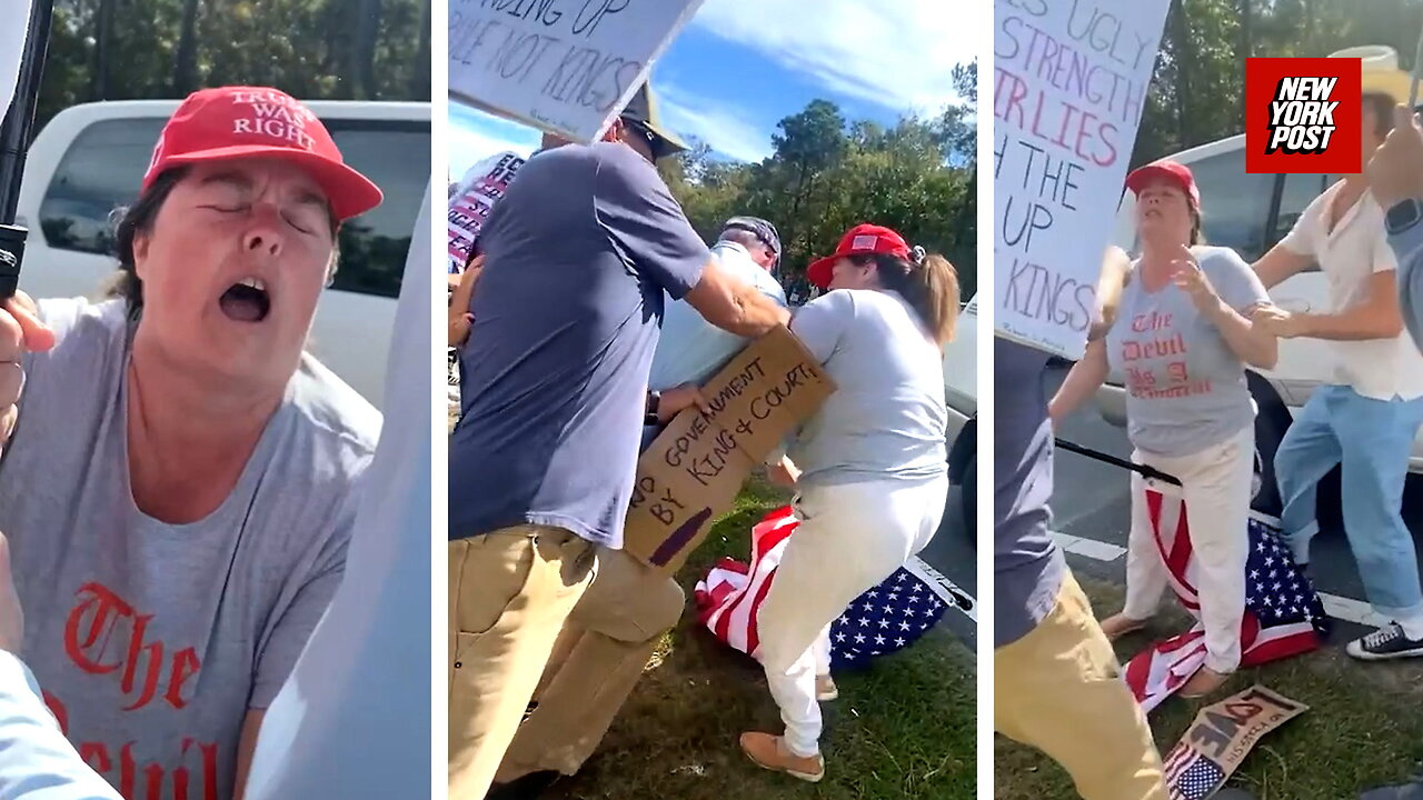 Wild moment woman tries to steal flag from No Kings protesters- and is charged with assault