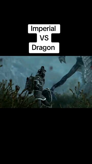 Man vs Dragon