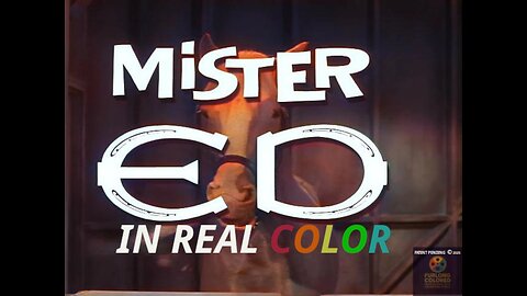 🐴 Mr. Ed (1966) S06E07 – TV or Not TV | In Real Color | Full Episode