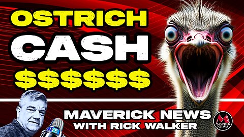 The CASH Behind Canada's Ostrich Protest & Cull Controversy: We Follow The Money!