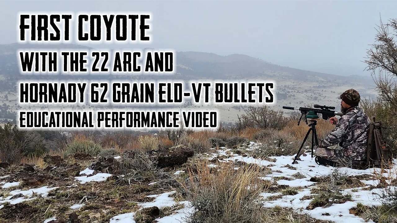 First Coyote with the 22 ARC and Hornady 62 Grain ELD-VT Bullets - Educational Performance Video