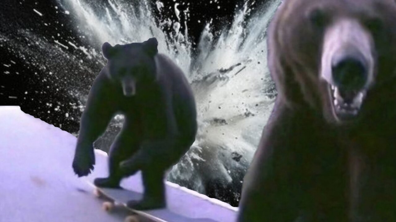 Bears on Skateboards || FLOW STATE LIVE ||