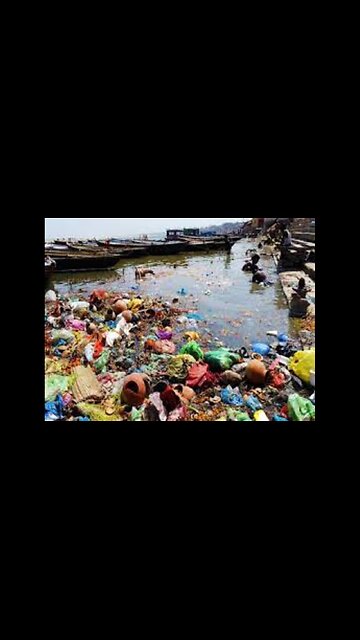 STREETSHITTER PAJEETS FEEDING THE NATION WHICH IS ADMIRABLE BUT THE QUALITY IS RATHER QUESTIONABLE