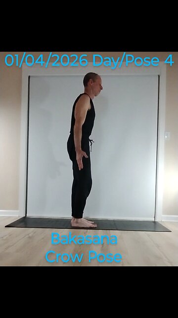 Bakasana / Crow Pose