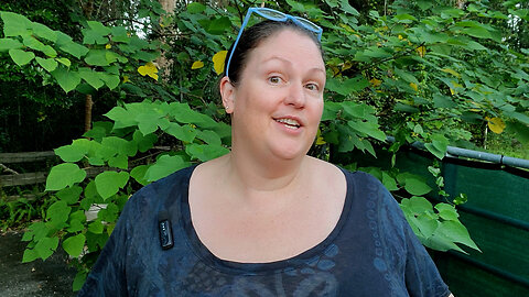 How Can You Find Gifts in Life's Uncertain Seasons? (Part 4) ✨