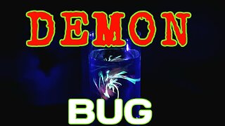 Demon Bug {An Easy and Effective Bait Modification Technique to Catch Fish}