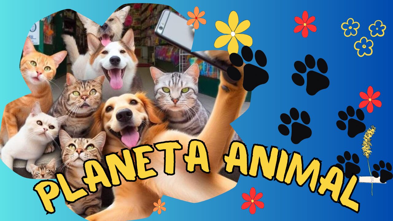 ❤️🍀Planeta Animal❤️🐕🦺