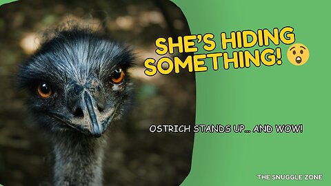OSTRICH SURPRISE 🥚🥚 | Pushy Friend Reveals a Big Secret!