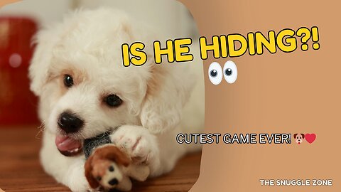 PLAYING HIDE & SEEK 🐶👀 | Puppy Hides Eyes in Pure Cuteness