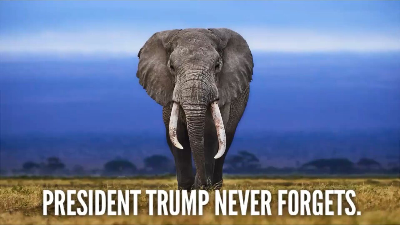 BREAKING NEWS:📣 President Trump never forgets.