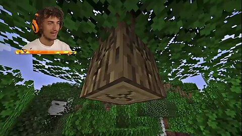 My reaction to finding roses in Minecraft