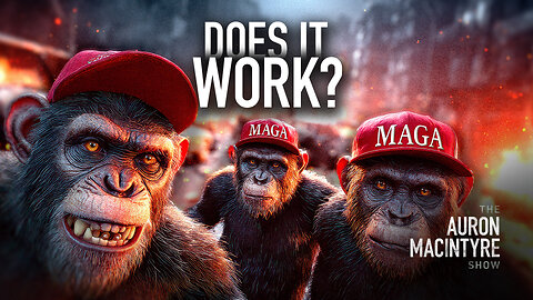 On the Question of Chimping | Guest: Dave Greene | 10/17/25