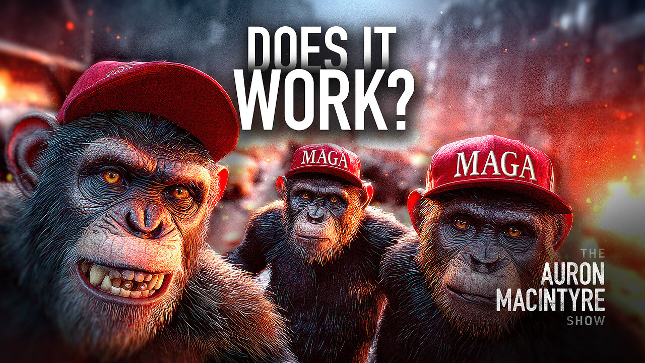 On the Question of Chimping | Guest: Dave Greene | 10/17/25