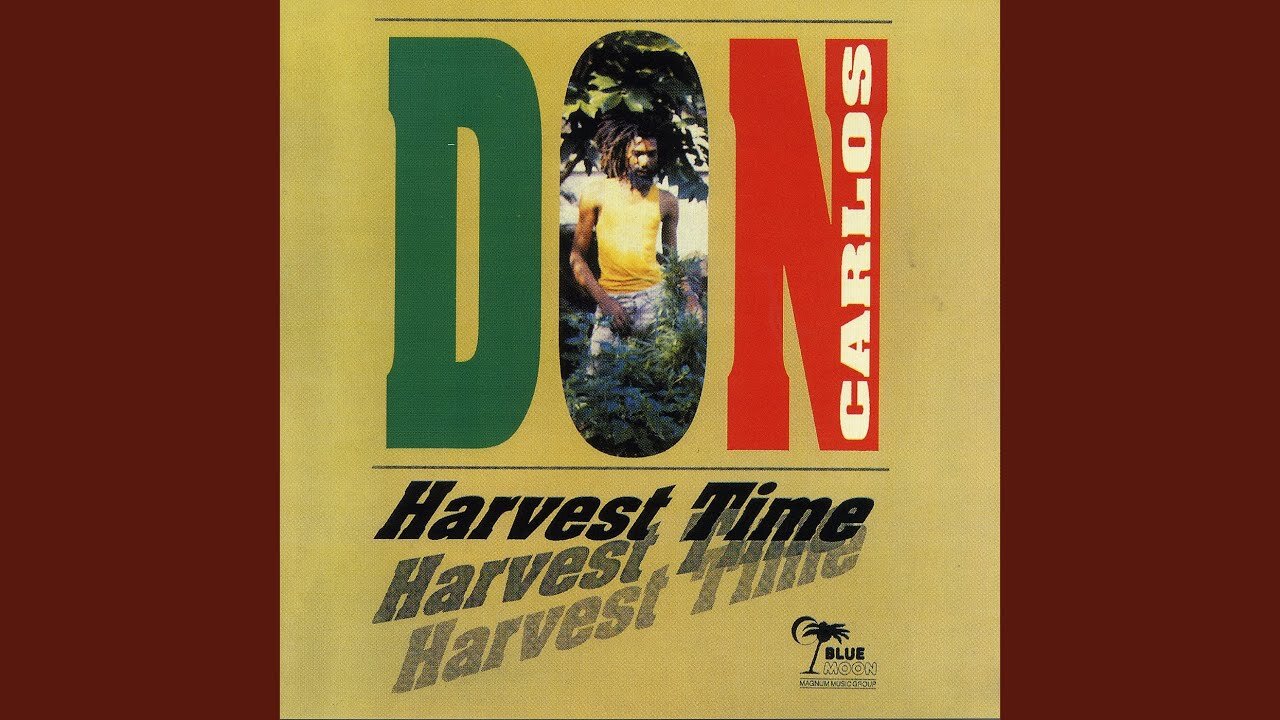 Don Carlos – White Squall | Conscious Roots Reggae Warning & Spiritual Vibes