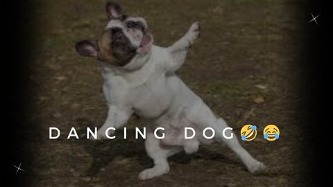 Dancing dog | Dance time🤣😂