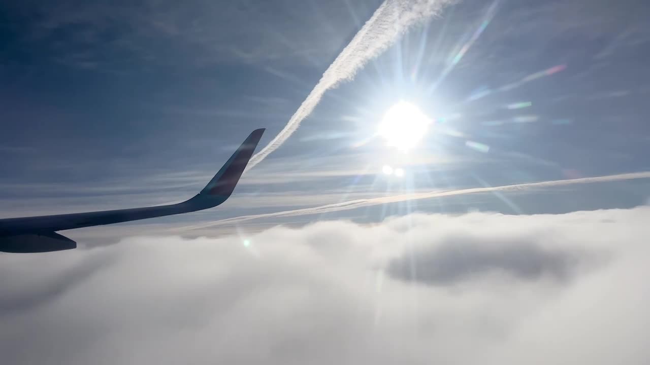 Why do some aircraft have curved wings?