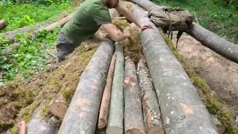 The Process of Building a Secret Survival Bunker Beneath an Ancient Tree #2025 #camping #visual