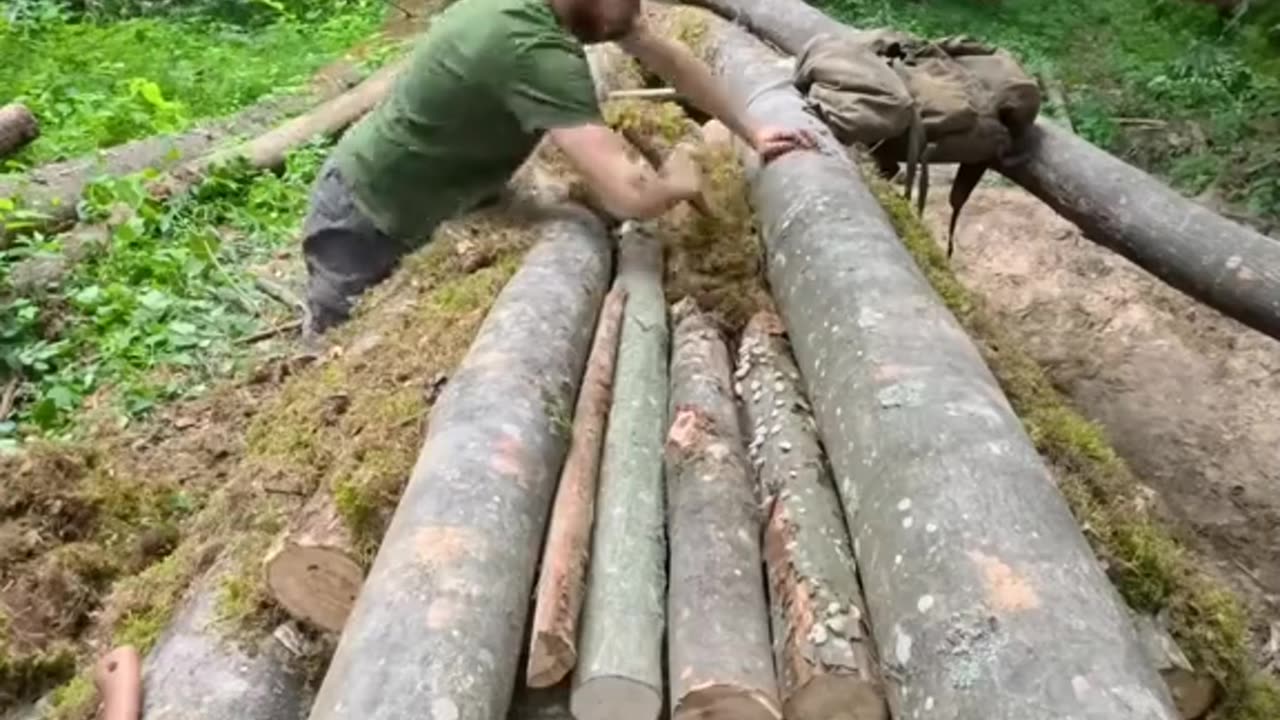 The Process of Building a Secret Survival Bunker Beneath an Ancient Tree #2025 #camping #visual