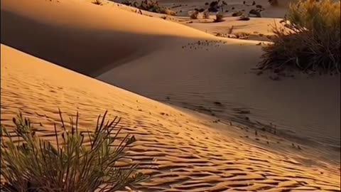 #2025 #music Drvo života#song #love #balada