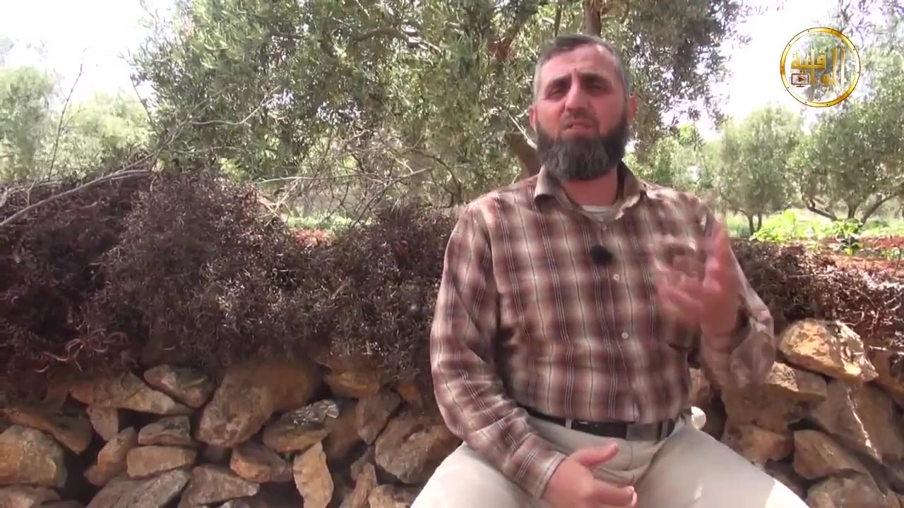 خواطر شامية خيوط العنكبوت